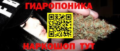 ALPHA PVP Новозыбков