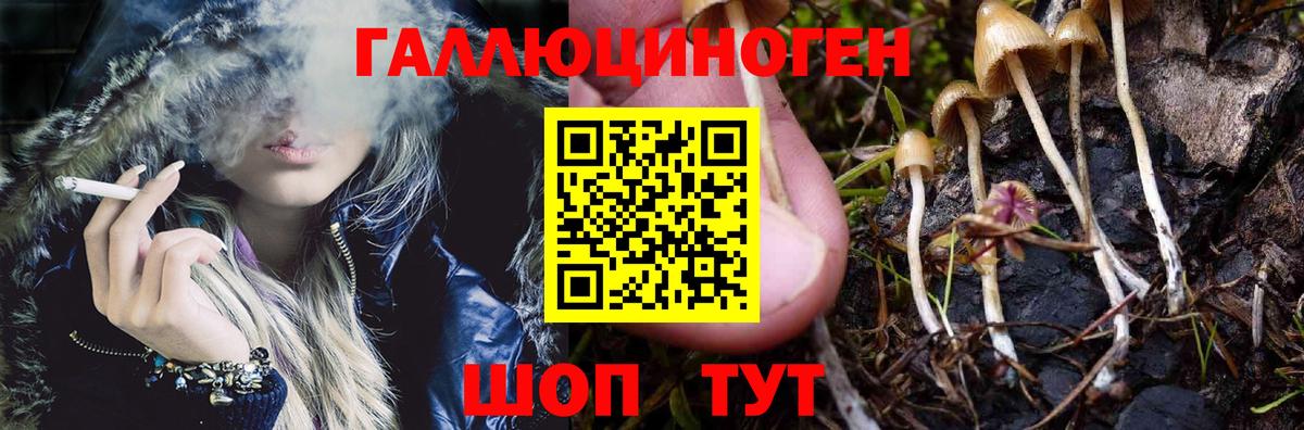 Псилоцибиновые грибы GOLDEN TEACHER Орск